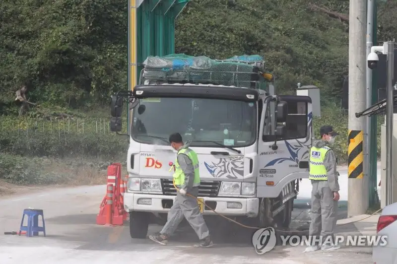 韩国再传非洲猪瘟新确诊病例
