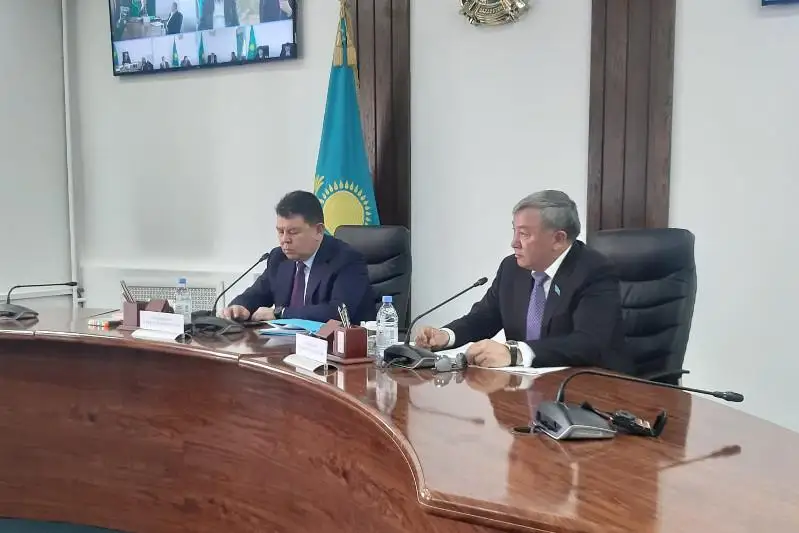 Қанат Бозымбаев Жетісу және Алматы облыстарының қалай бөлінетінін айтты