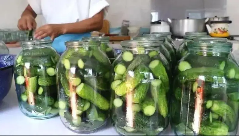 تاۋلىگىنە 200 بانكا: تۇلكىباستىق كاسىپكەر كوكونىس جاۋىپ، مول تابىس تاۋىپ وتىر