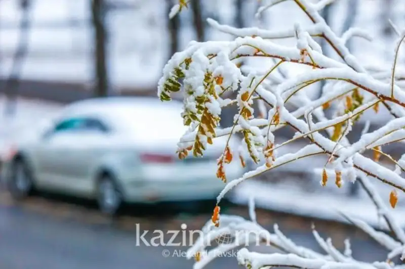 Ғарбий Олтой тоғларида қор ёғиши кутилмоқда