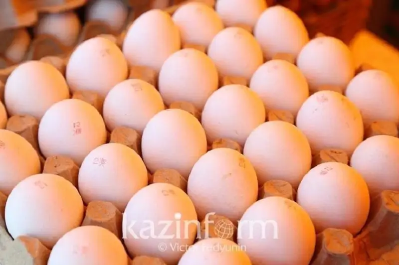 Bir jumyrtqa úshin 3 teńge mólsherinde sýbsıdııa beriledi