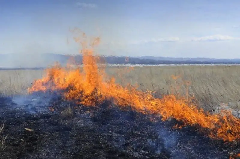 800 лесных и 11 степных пожаров произошло в 2022 году в Казахстане - Юрий Ильин