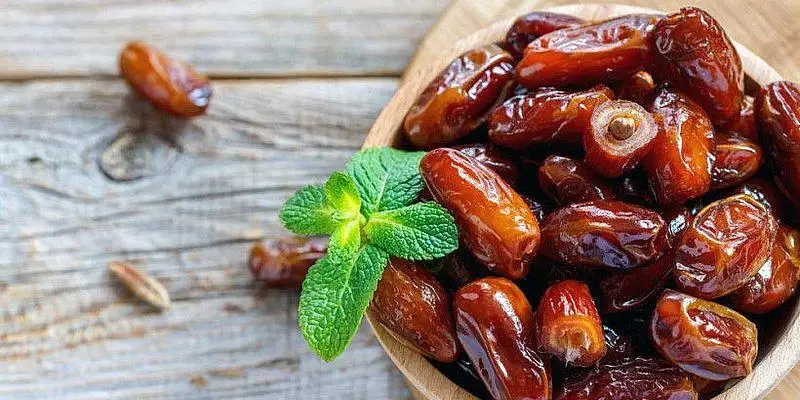 قۇرما نەسىمەن پايدالى؟