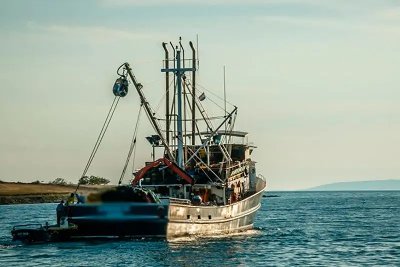 Гвинея кўрфазида қароқчилар кемага ҳужум қилишди