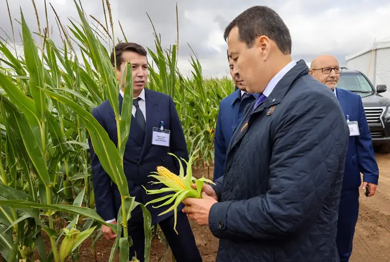 Алихан Смаилов встретился с руководителями сельхозформирований Павлодарской области
