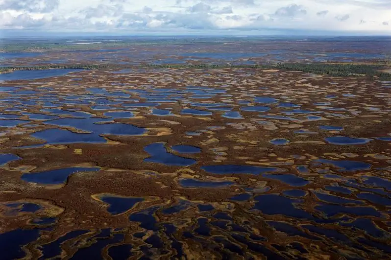 Aрктикада янги рекорд даражадаги исиш ҳарорати расман эълон қилинди