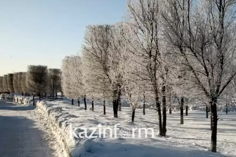 جاز مەزگىلىندە جامبىل وبلىسىنىڭ ورماندارىنا بارۋعا تىيىم سالىنباق