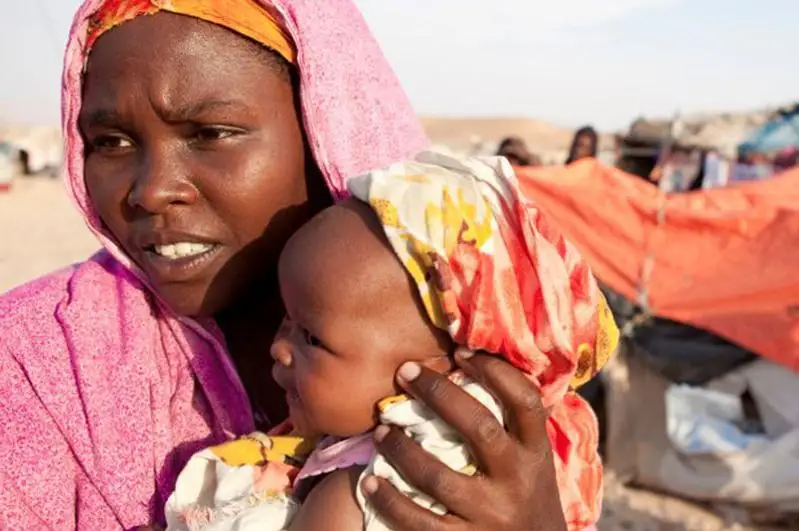 Иқлим ўзгариши барқарорлик ва хавфсизликка таҳдид солмоқда - БМТ