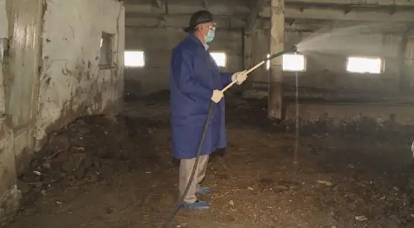 قاراعاندى وبلىسىندا قۇتىرۋ اۋرۋىنىڭ وشاعى انىقتالدى