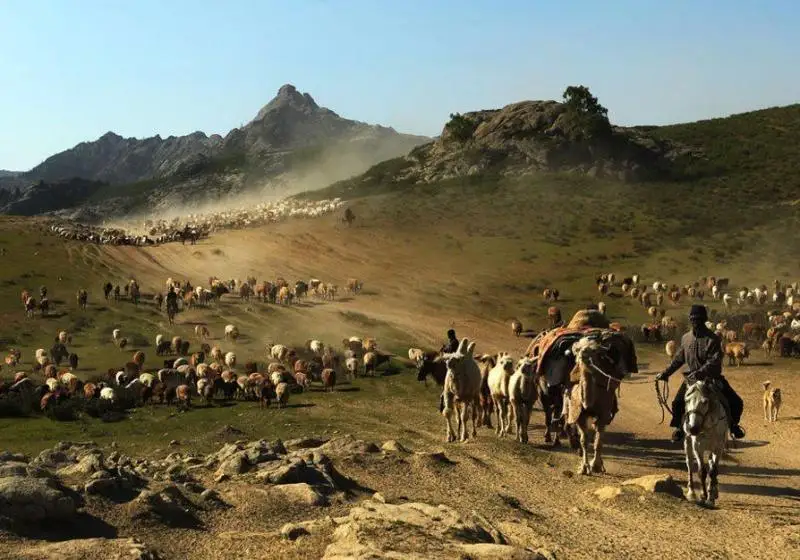 كوشپەلى ورتاداعى قوعامدىق بايلانىستار