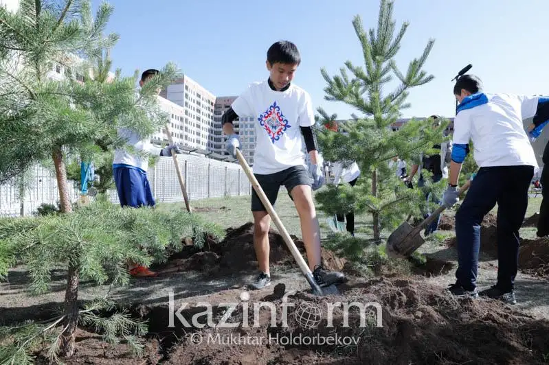 哈萨克斯坦将种植超过20亿棵树以增加森林覆盖率