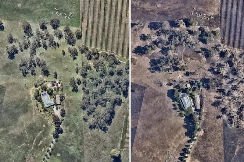 Австралиядаги ўрмон фожиаси: Ёнғингача ва ундан кейинги суратлар тарқалди