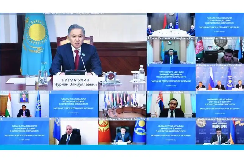 尼格马图林出席集安组织议会大会视频会议