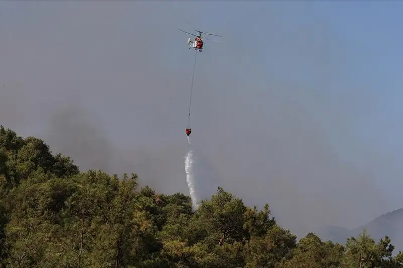 Сўнгги ўн йил ичида Туркияда 20 мингдан ортиқ ўрмон ёнғинлари содир бўлган