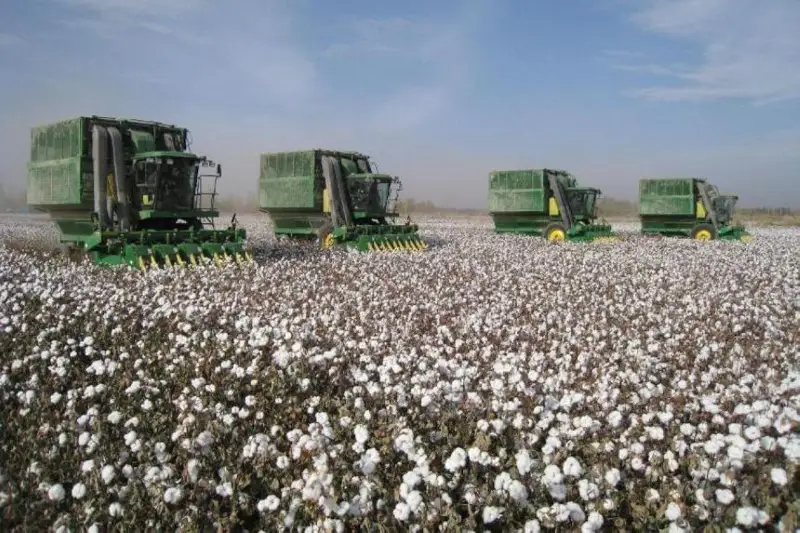 وزبەکستاننان قازاقستانعا ءۇش اۋدان قالاي قايتارىلىپ ەدى؟