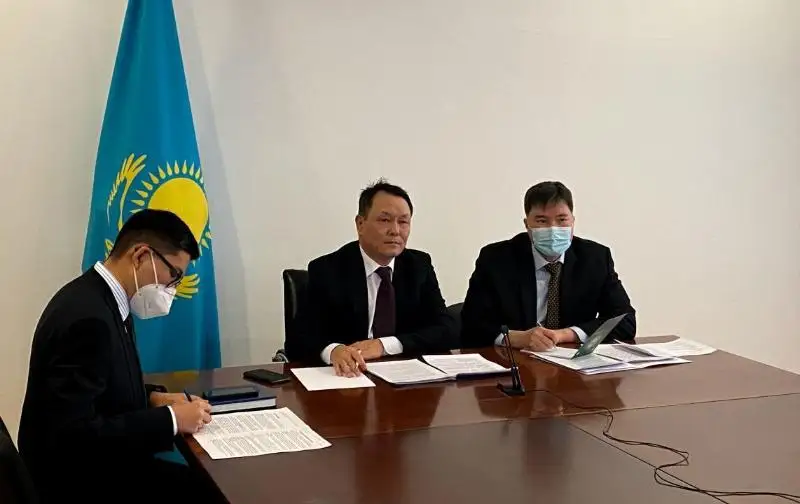 哈萨克斯坦-埃塞俄比亚首轮政治磋商会议以线上形式召开