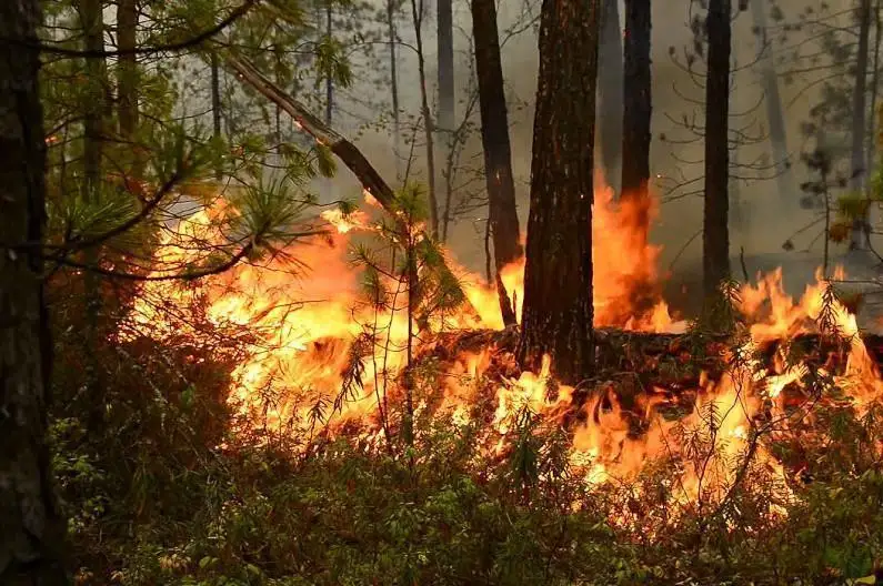 Якутияда юз берган ёнғин бир нечта аҳоли пунктларига яқинлашмоқда