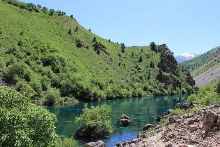 Ўзбекистон Халқаро табиатни муҳофаза қилиш иттифоқига аъзо бўлди