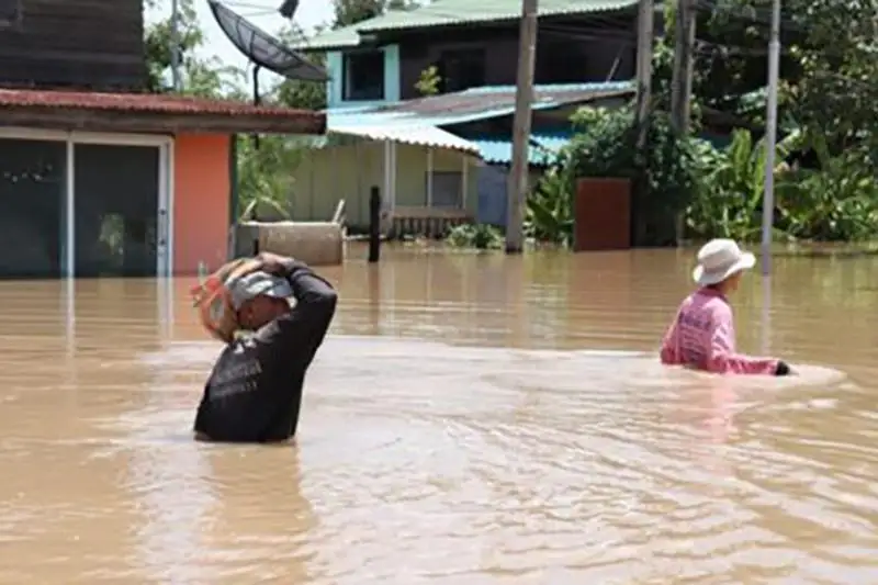 تايلاندتا لاي كوشكىنى 12 ءۇيدى باسىپ قالدى