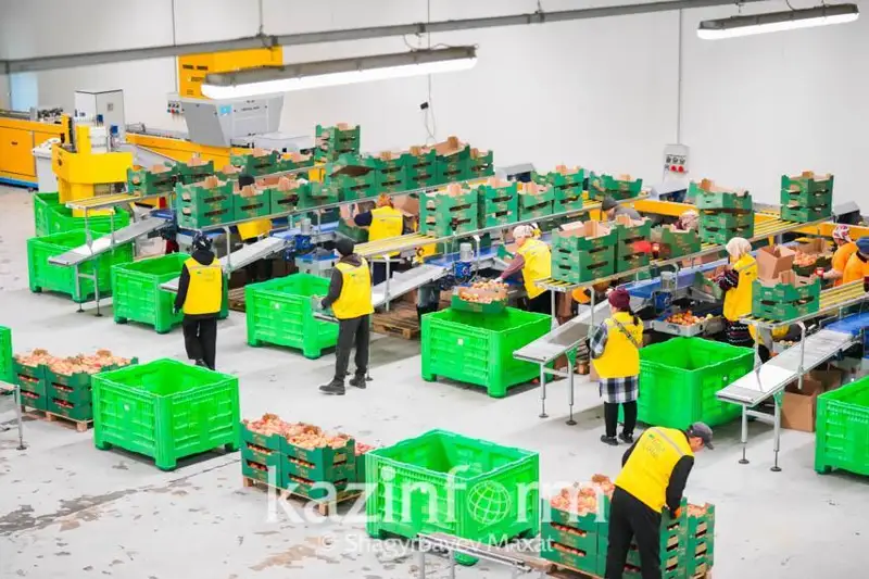 Қозоғистонда сабзавот сақлаш омборлари қуришни рағбатлантириш механизмлари кучайтирилади