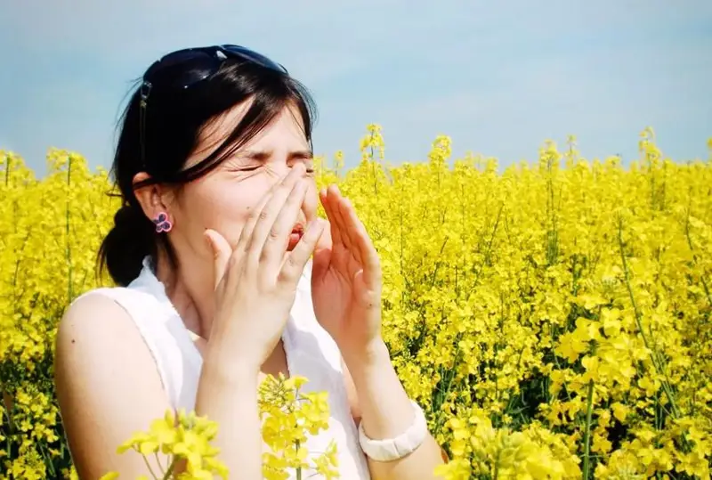 Allergııamen aýyratyndar neni bilýi kerek