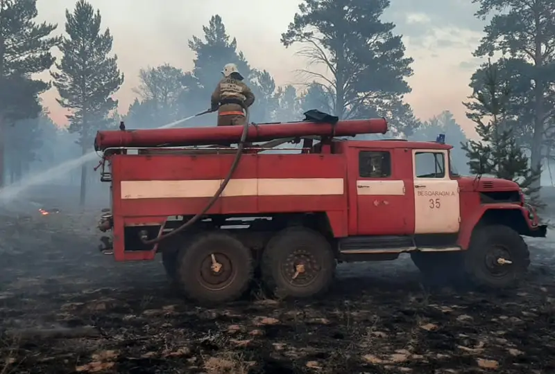 Крупный лесной пожар произошел в Абайской области