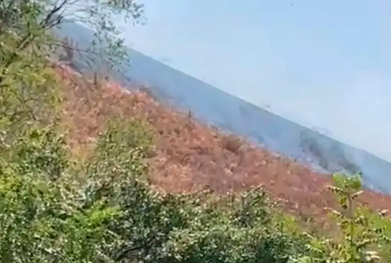 بۇگىن الماتىداعى تاۋ بوكتەرىنەن  ءورت شىقتى