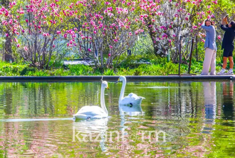 قازگيدرومەت مامىردىڭ 26-سى كۇنگى كۇن رايى بولجامىن جاريالادى