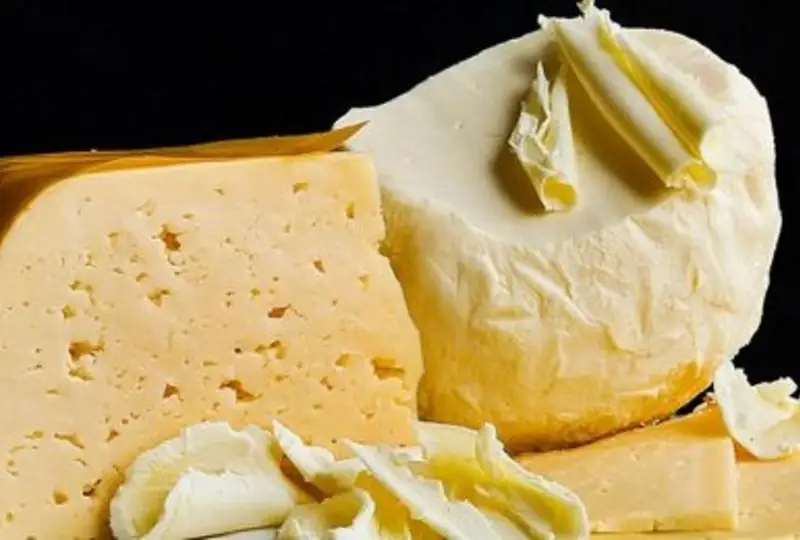 Қостанай вилоятида пишлоқ ишлаб чиқарувчи янги мажмуа ишга тушади