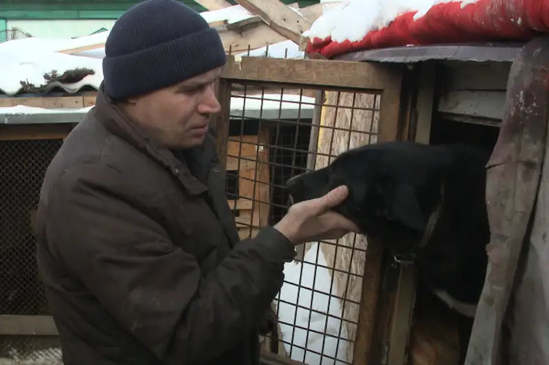 Петропавллик фаол 200дан ортиқ дайди итларни асраб олди