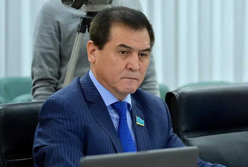 سەنات دەپۋتاتى: رەفەرەندۋم - بيلىك پەن حالىق اراسىنداعى الشاقتىقتى جويۋدىڭ جولى