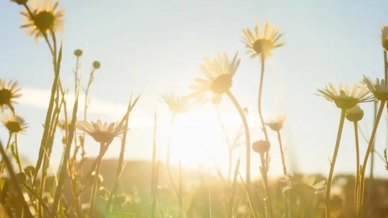 قازاقستاندا الداعى كۇندەرى اۋا رايى قانداي بولاتىنى ايتىلدى
