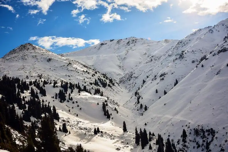 شىعىس قازاقستاندىقتارعا تاۋعا شىقپاۋ قاجەتتىگىن ەسكەرتتى