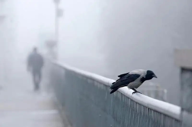 Туман ожидается 15 октября на западе и севере Казахстана