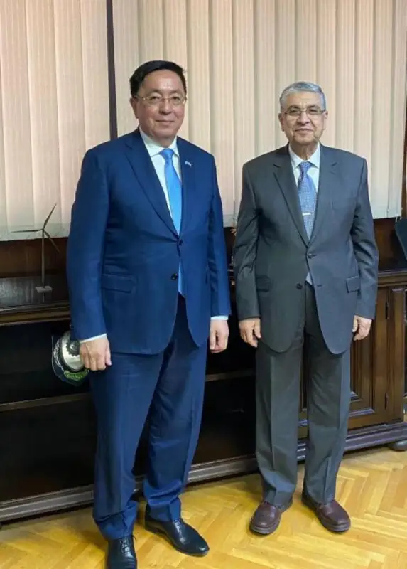 哈萨克斯坦大使会见埃及电力和可再生能源部长