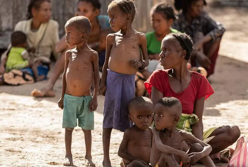 Украинадаги вазият дунёда озиқ-овқат танқислиги хавфини оширади - халқаро ташкилот