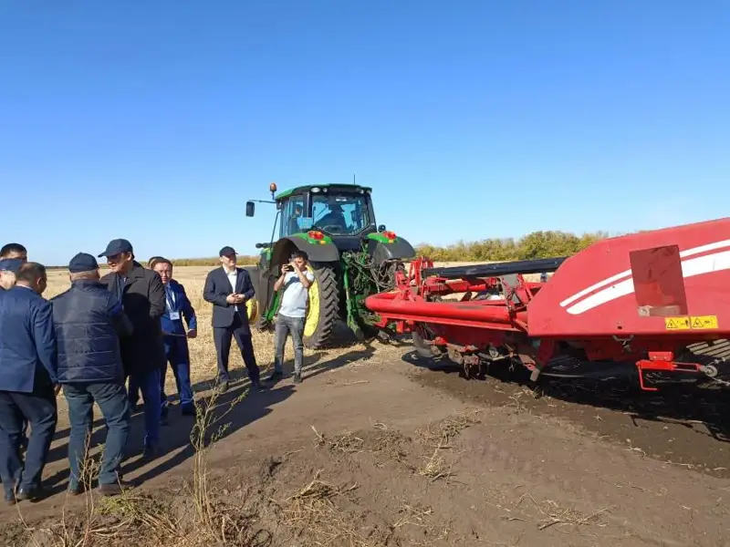 Инвестпроекты на 187,8 млрд тенге запустят в АПК Павлодарской области