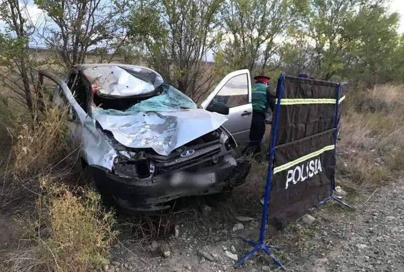 Водитель погиб в ДТП с лошадью в ВКО