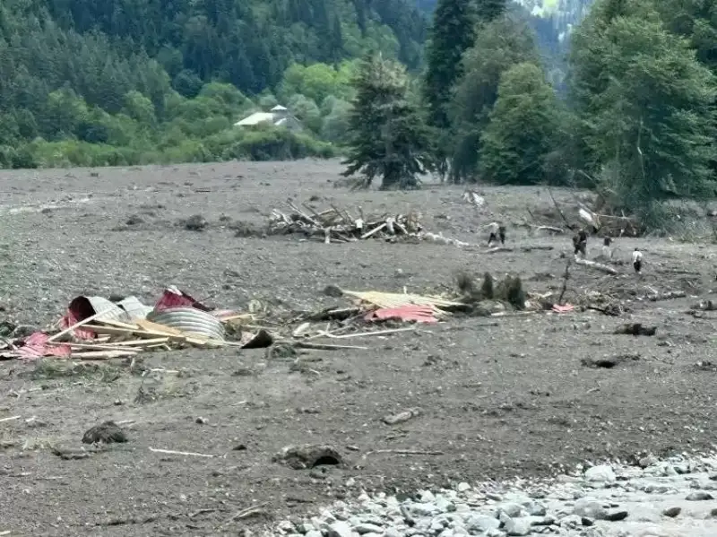 Грузияда кўчки оқибатида ҳалок бўлганлар сони 12 нафарга етди