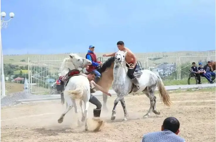 تۇركىستان وبلىسىندا كوشپەندىلەر ويىنى ءوتتى