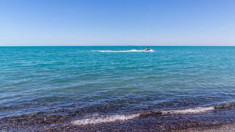 بيىل الاكول كولىنە قانداي پويىزدار قاتىنايدى