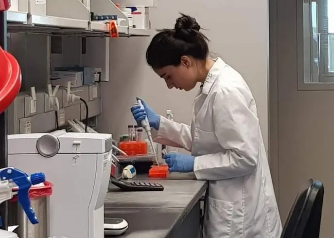 Грузияда маймун чечаги инфекцияси аниқланди