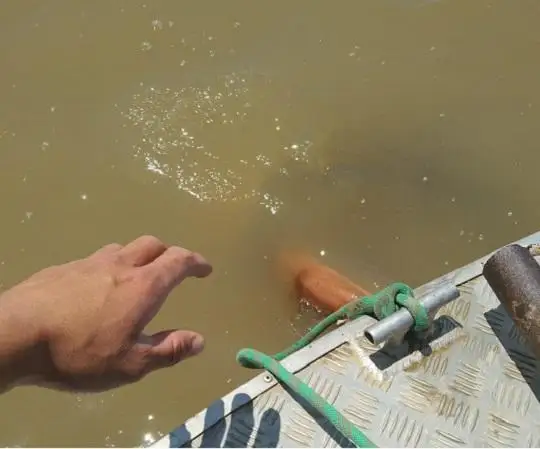 Атирауда дарёга чўкиб кетаётган хорижлик фуқаро қутқариб олинди