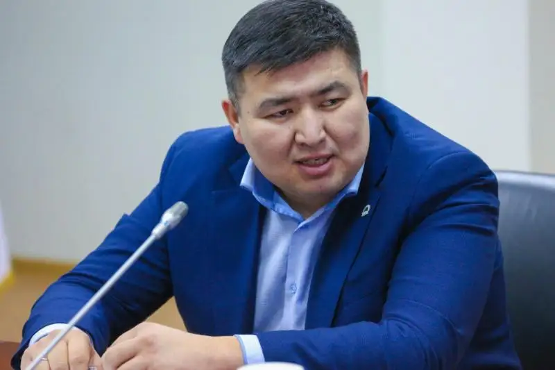 Только в стабильном государстве мы достигнем целей - Елнур Бейсенбаев