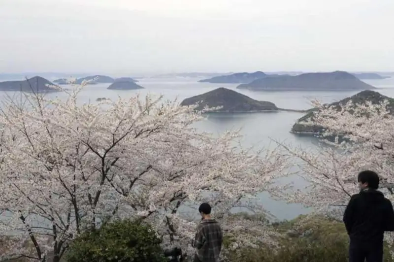 Японияда илгари номаълум бўлган 7000 та орол борлиги аниқланди