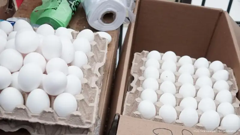 قازاقستاندا جۇمىرتقا قىمباتتادى