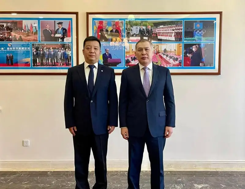 驻华大使会见中国通用技术集团国际公司副总经理