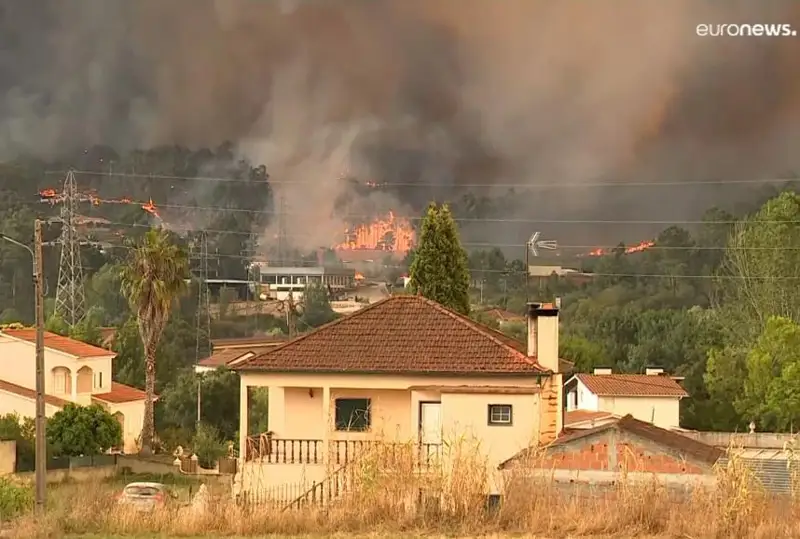 Деярли бутун Жанубий Европада кенг кўламли ўрмон ёнғинлари кузатилмоқда