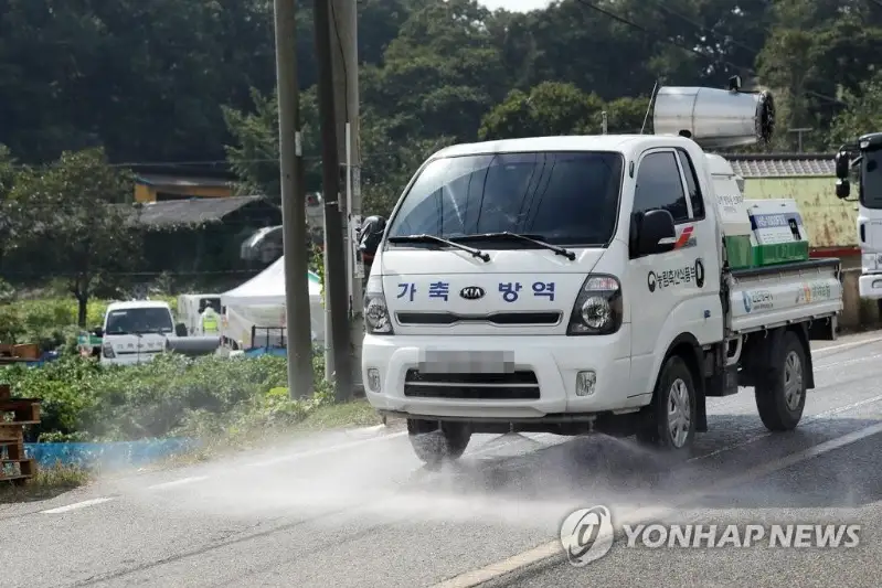 韩国出现第九起非洲猪瘟疫情