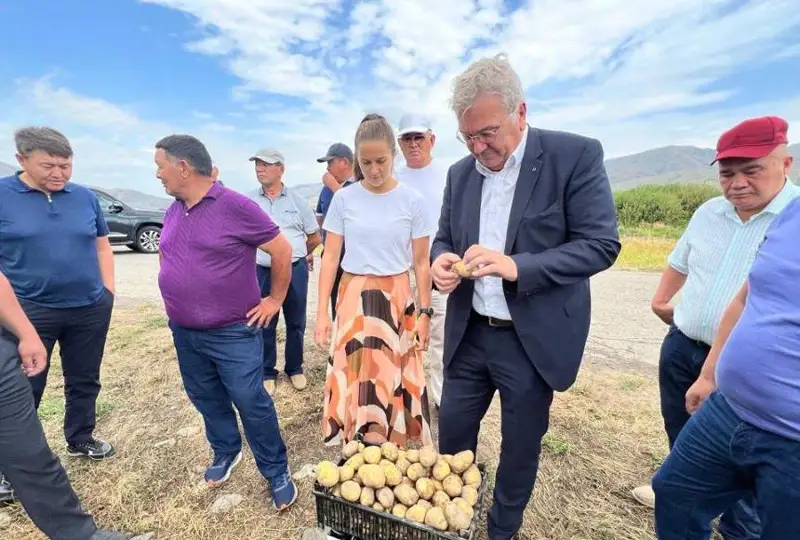 جەتىسۋ وبلىسىندا فري كارتوبى وسىرىلەتىن بولادى